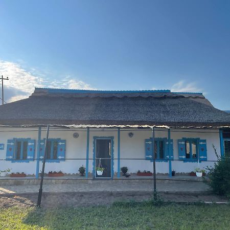 Casa Cu Stuf Murighiol Kültér fotó
