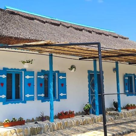 Casa Cu Stuf Murighiol Kültér fotó