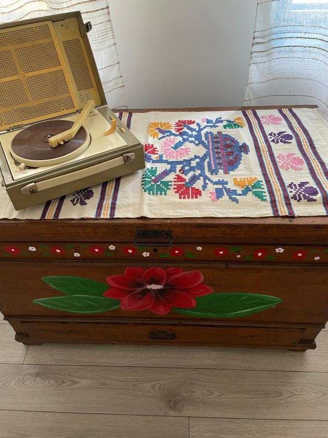 Casa Cu Stuf Murighiol Kültér fotó