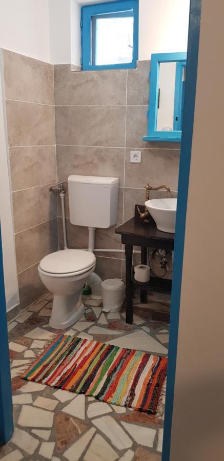 Casa Cu Stuf Murighiol Kültér fotó